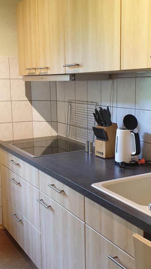 Ferienwohnung An Der Begerburg Dresde Extérieur photo